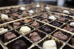 Box of Hand Dipped Chocolates